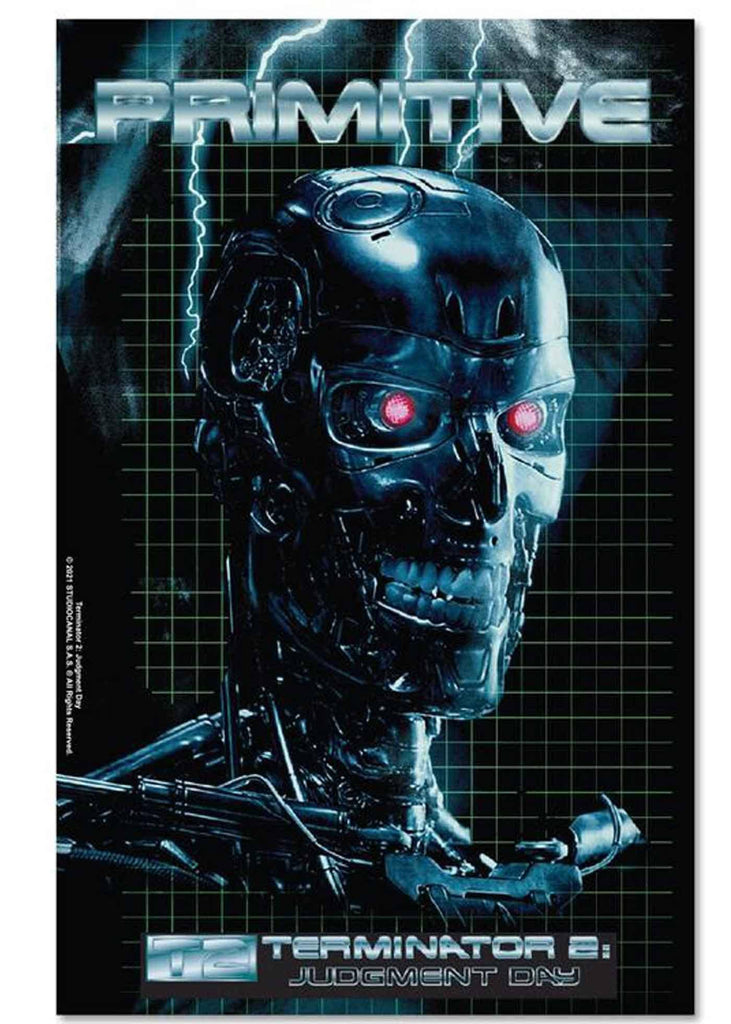 Primitive X Terminator 2 Judgement Day Box Set Sticker  Primitive   