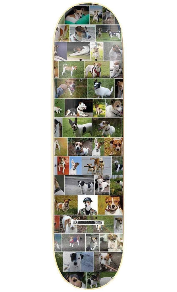 Skate Mental Curtin Dogs 8.0 Deck  Skate Mental   